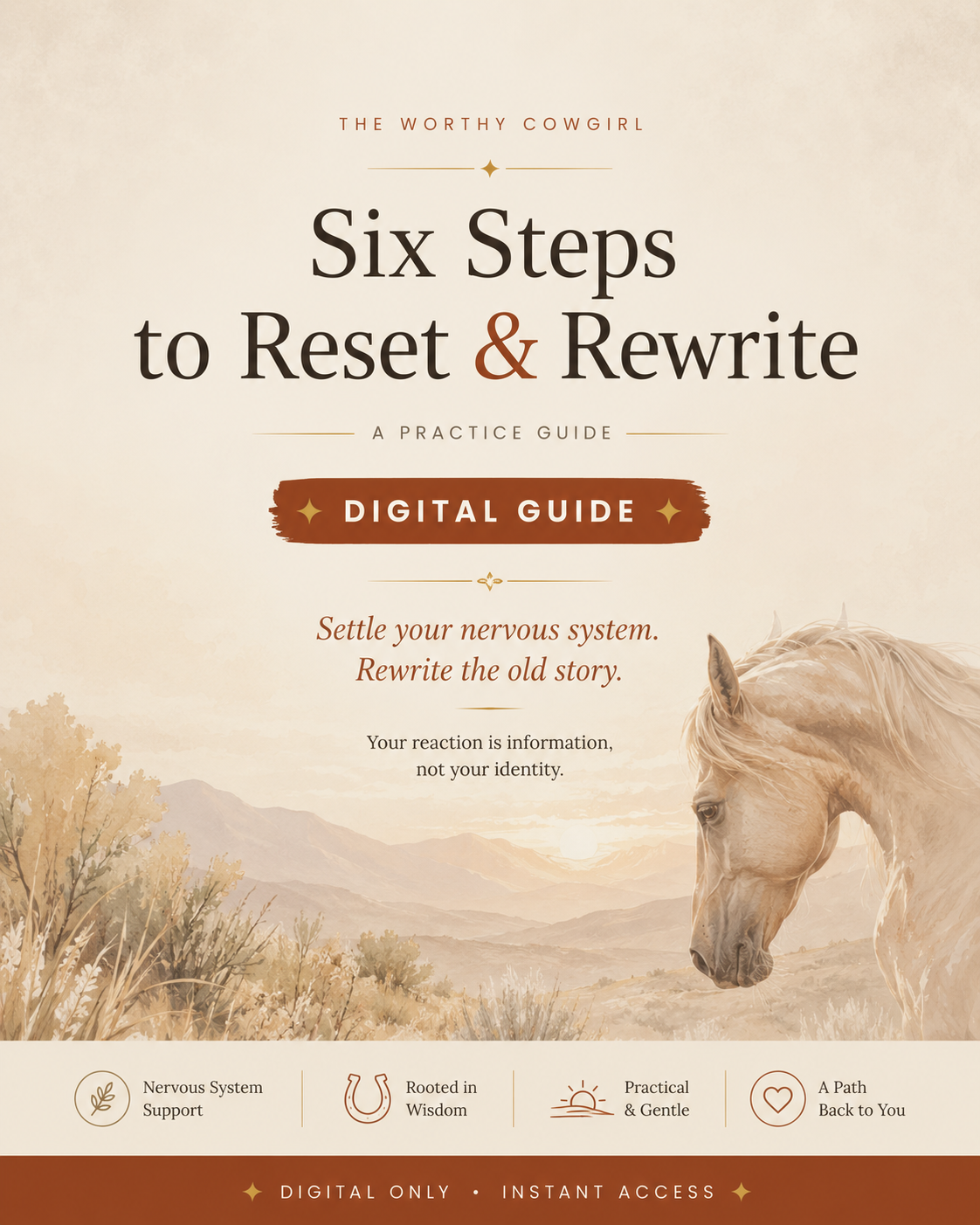 Six Steps to Reset & Rewrite Digital Guide